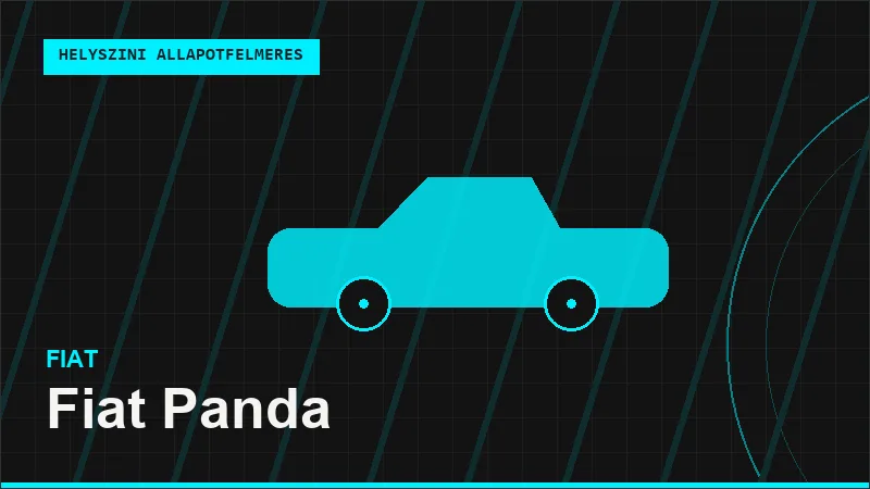 Fiat Panda helyszíni autó állapotfelmérés vásárlás előtt