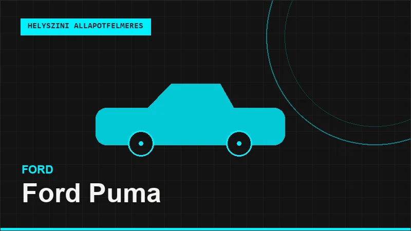 Ford Puma helyszíni autó állapotfelmérés vásárlás előtt