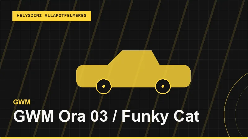GWM Ora 03 / Funky Cat helyszíni autó állapotfelmérés vásárlás előtt